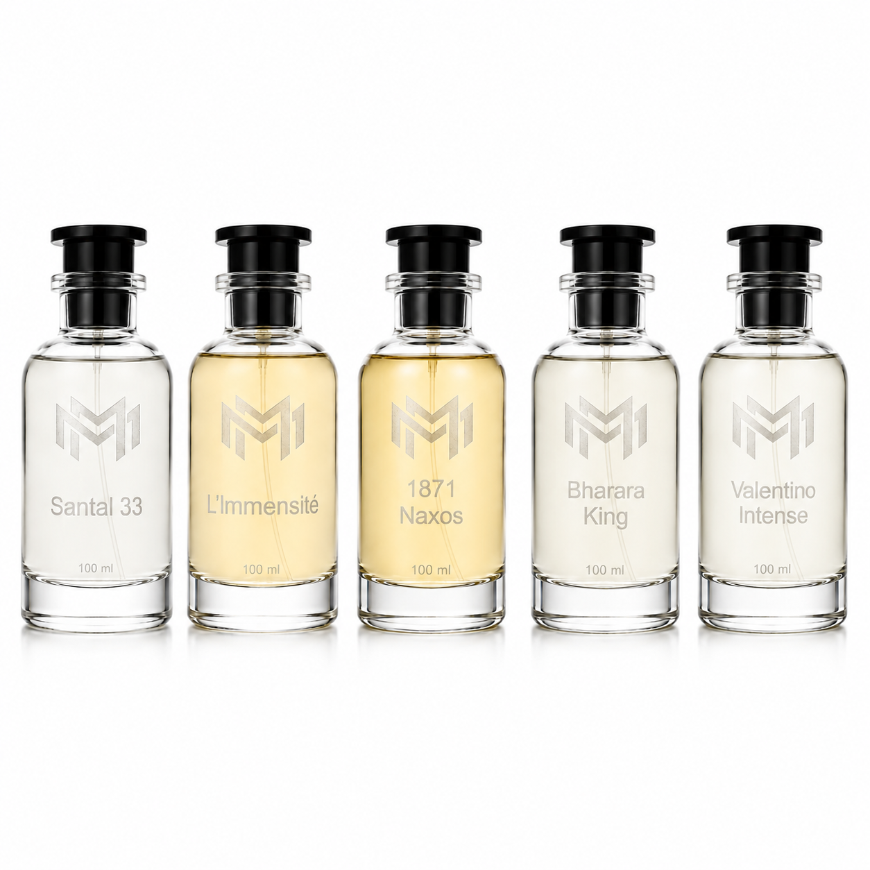 Pack Colección Completa x5 | Perfumes 100 ml